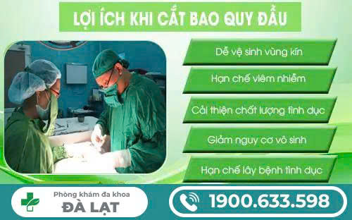 Hình ảnh minh họa